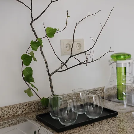 Douro Cister Ośrodek wypoczynkowy